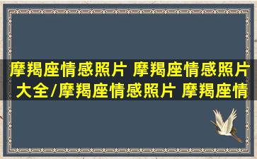 摩羯座情感照片 摩羯座情感照片大全/摩羯座情感照片 摩羯座情感照片大全-我的网站